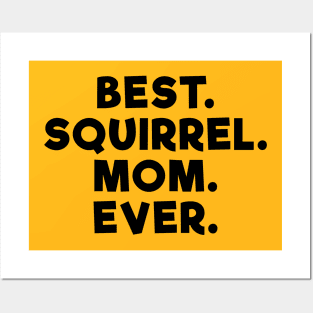 Best Squirrel Mom Ever Posters and Art